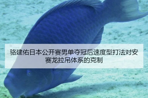 骆建佑日本公开赛男单夺冠后速度型打法对安赛龙拉吊体系的克制