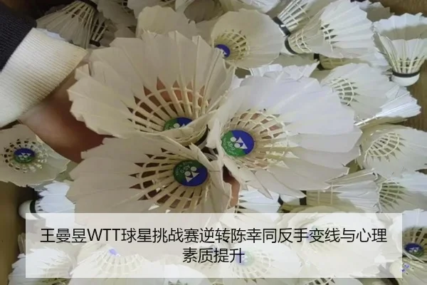 wang-man-yu-qiu-xing-tiao-zhan-sai-ni-zhuan-chen-xing-tong-fan-shou-bian-xian-yu-xin-li-su-zhi-ti-sheng-2-331.jpg